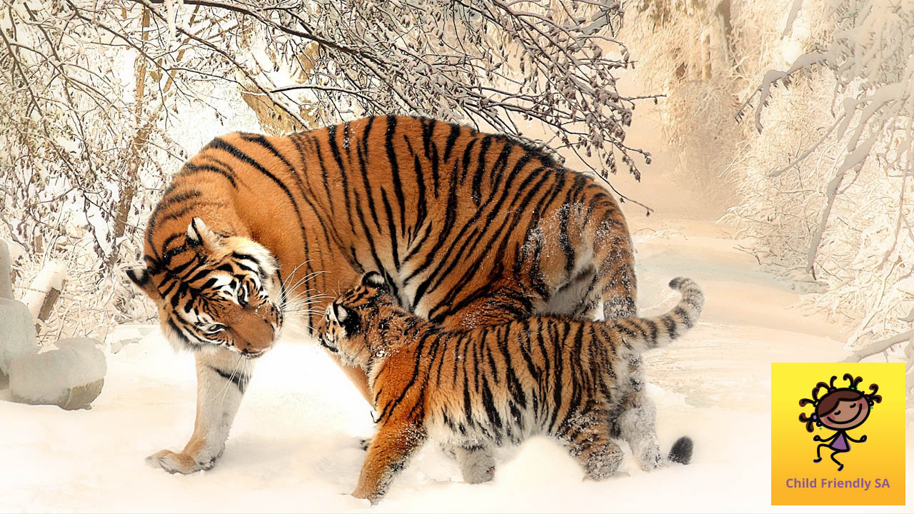 Tiger Mom and Cubs Photo